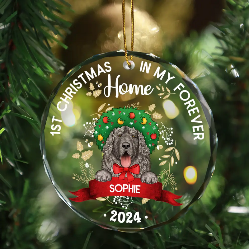 1st Christmas In My Forever Home - Personalized Circle Glass Ornament