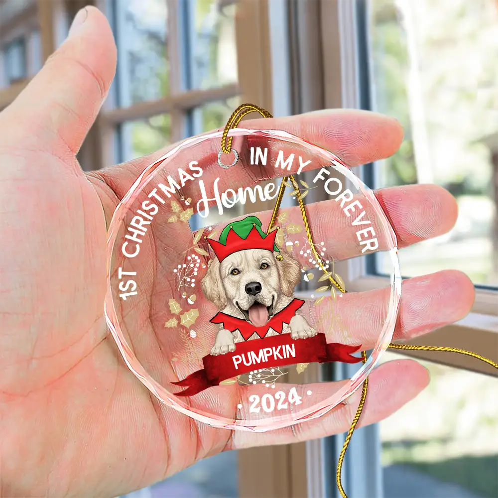 1st Christmas In My Forever Home - Personalized Circle Glass Ornament