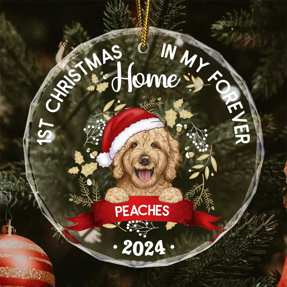 1st Christmas In My Forever Home - Personalized Circle Glass Ornament
