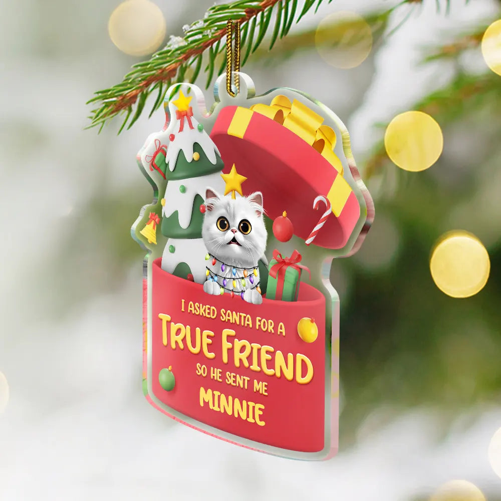 Pet Lovers,Pet Mom,Pet Dad,Dog Lovers,Dog Mom,Dog Dad,Cat Lovers,Cat Mom,Cat Dad,Gift For Women,Gift For Men,Christmas,Happy - I Asked Santa For A True Friend Dog Cat 3D Effect - Personalized Custom Shaped Acrylic Ornament