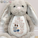Gift For Sibling,Love,Gift For Sisters,Gift For Brothers,Gift For Bestie,Gift For Daughter,Gift For Grandkids - I Filled It With My Wishes Bestie Brother - Personalized Soft Toy Bunny