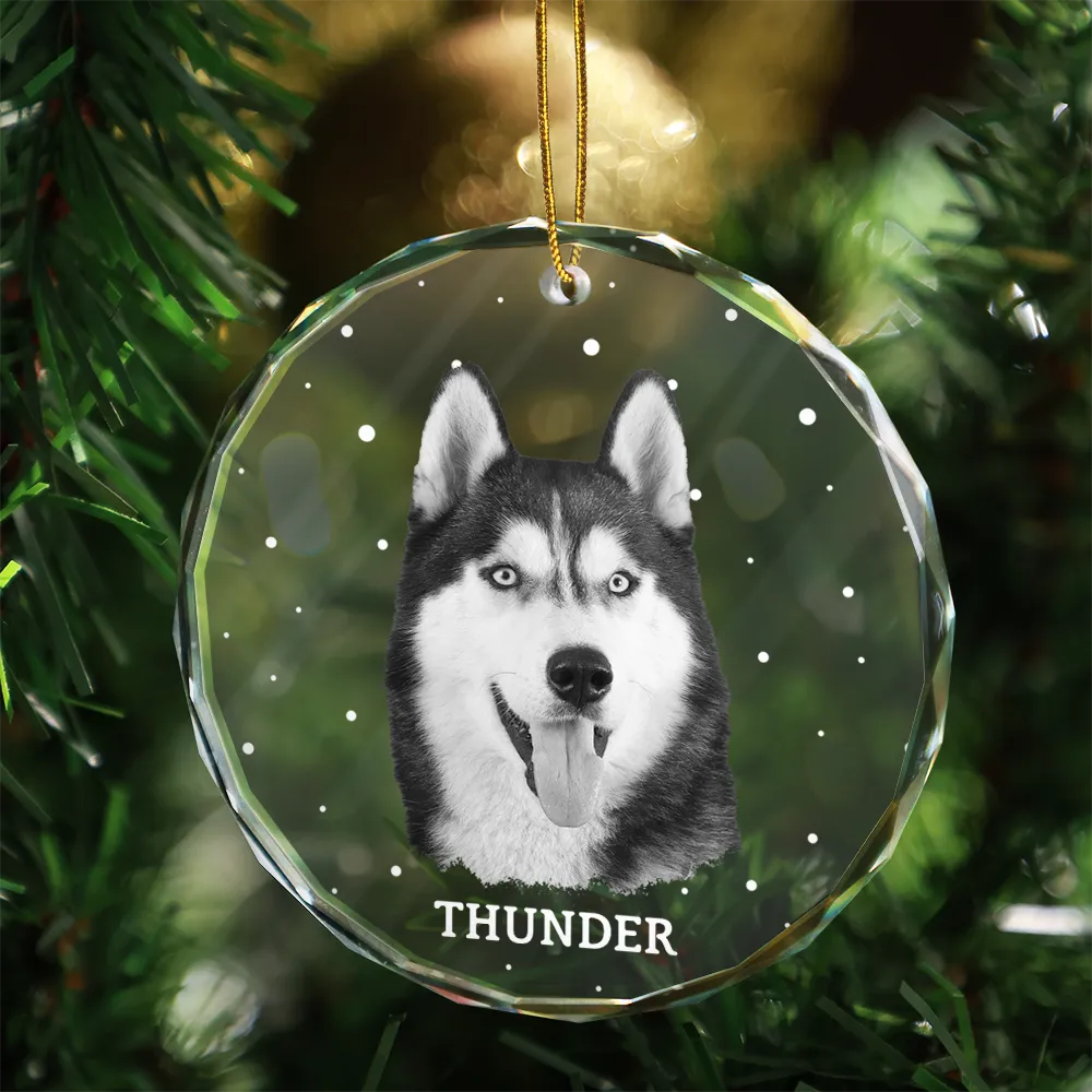 Custom Photo,Pet Lovers,Memorial,Sad - Custom Photo B&W Pet Loss Pet Memorial Forever Leaving Pawprints - Personalized Circle Glass Ornament