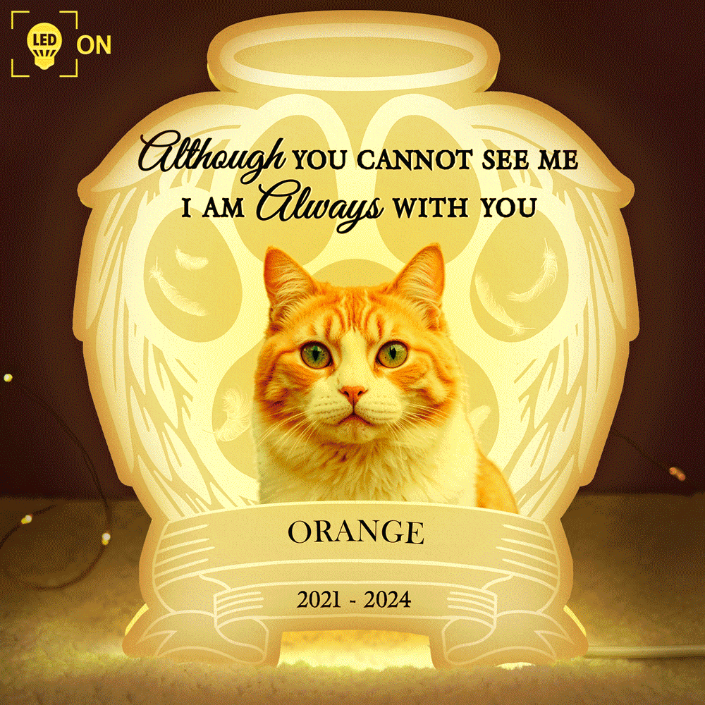 Pet Lovers,Memorial,Custom Photo,Sad - Custom Photo Your Light Will Always Shine In My Heart Pet Memorial - Personalized Custom Shaped Light Box