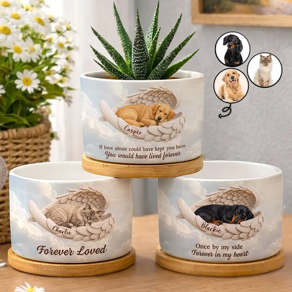 Art Design,Healing,Pet Memorial,Pet Lovers,Memorial,Photo - Sleeping Dog Cat Baby - Custom Photo Sleeping Angel If Love Alone Could Have Kept You Here Dog Cat Remembrance - Personalized Plant Pot