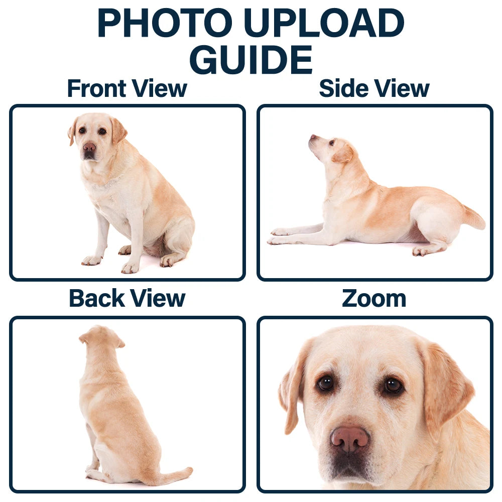 Pet Lovers,Pet Mom,Pet Dad,Cat Lovers,Cat Mom,Cat Dad,Dog Lovers,Dog Mom,Dog Dad,Happy - Custom Pet Bobblehead Full Body Figurine With Nameplate For Pet Moms Pet Dads - Personalized Bobblehead