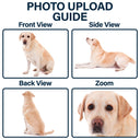 Pet Lovers,Pet Mom,Pet Dad,Cat Lovers,Cat Mom,Cat Dad,Dog Lovers,Dog Mom,Dog Dad,Happy - Custom Pet Figurine Full Body Sculpture With Nameplate For Pet Moms Pet Dads - Personalized Clay Figurine