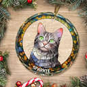 Portrait photo personnalisé chien chat famille Noël - Ornement en verre rond personnalisé 