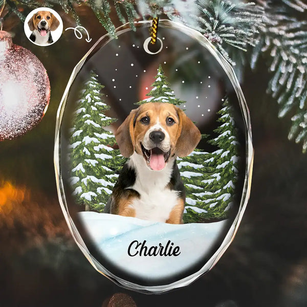 Love,Christmas,Pet Lovers,Dog Lovers,Cat Lovers - Custom Photo Pet Face Dog Cat Memorial - Personalized Oval Glass Ornament