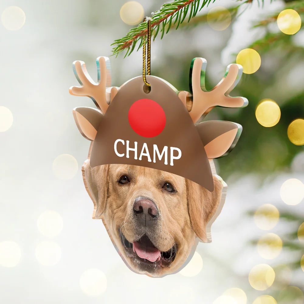 Happy,Cat Lovers,Pet Lovers,Dog Lovers - Custom Photo Santa Hat Dog Cat Pet Face - Personalized Custom Shaped Acrylic Ornament