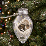 Art Design,Christmas,Custom Photo,Memorial,Pet Lovers,Pet Memorial,Photo - Sleeping Pet Angle Wing,Sentimental - Memorial Gift For Pet Lovers - Personalized Custom Photo Your Light Will Always Shine In My Heart Chili Bulb LED Light