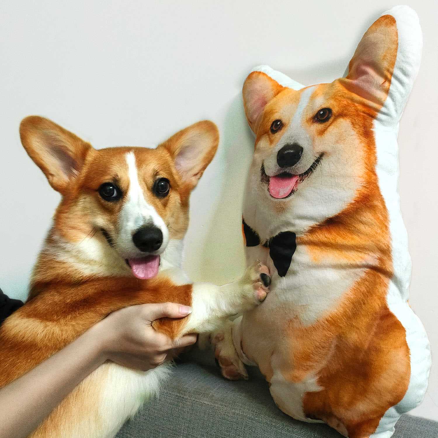 Coussin photo personnalisé à l'effigie de votre animal de compagnie - Cadeau pour amis, amoureux, mari, femme et amoureux des animaux - Coussin personnalisé à l'effigie de votre animal de compagnie