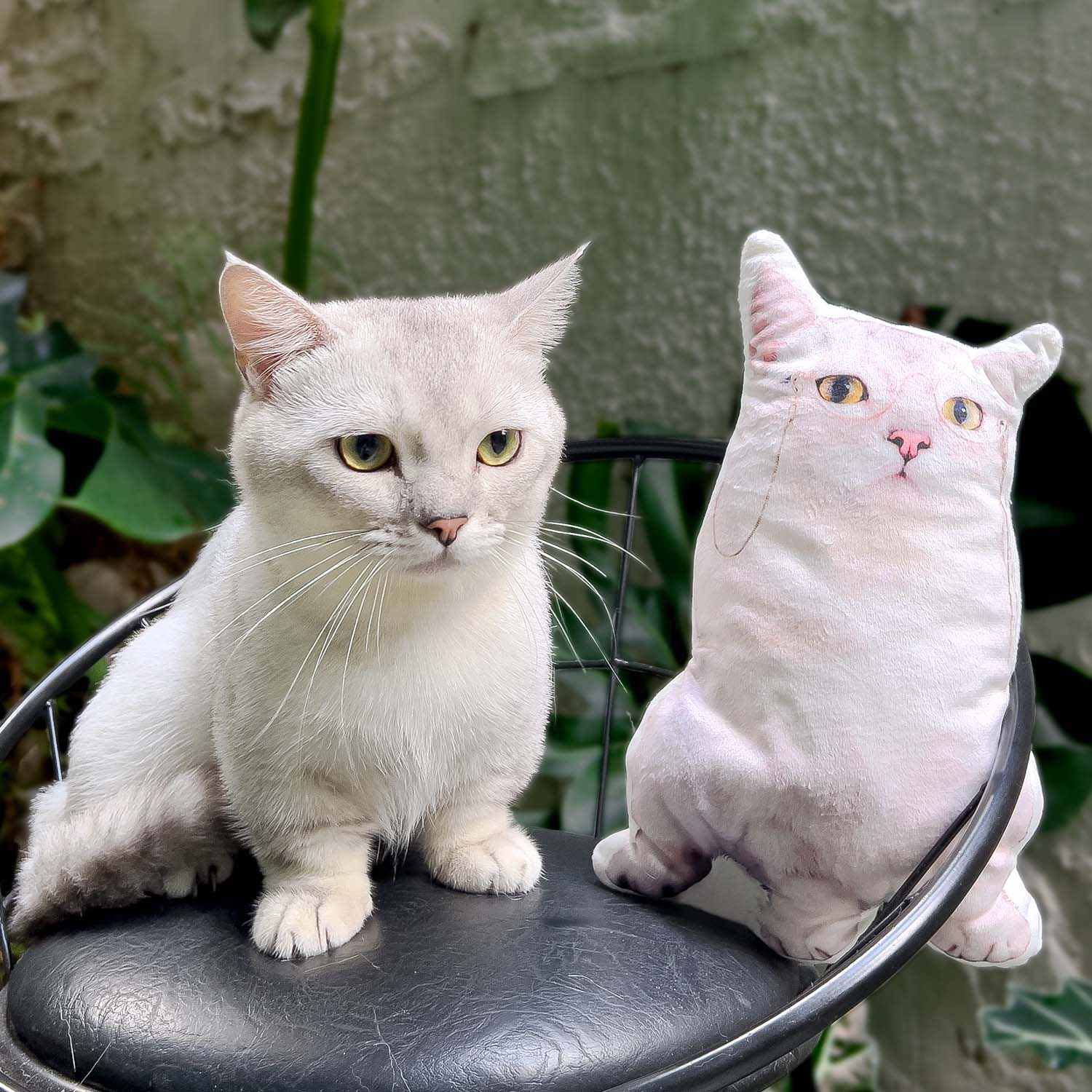 Coussin photo personnalisé à l'effigie de votre animal de compagnie - Cadeau pour amis, amoureux, mari, femme et amoureux des animaux - Coussin personnalisé à l'effigie de votre animal de compagnie