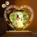 Custom Photo Dog Cat My Favorite Hello & Hardest Goodbye - Pet Memorial Gift, Sympathy Gift - Personalized 3D Led Light Wooden Base