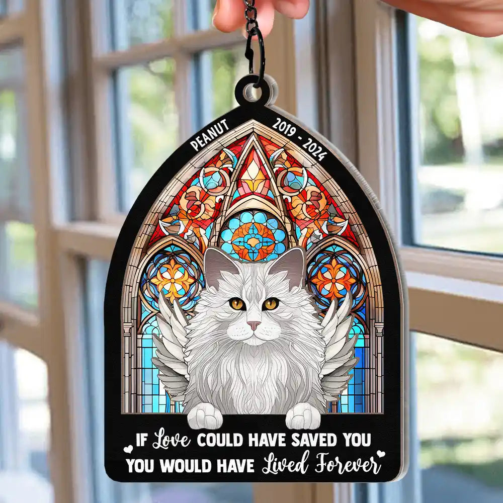 Cusom pet portrait mirror,pet memorial gift,cat gift idea,stained glass panel hot hanging,Personalised gift,custom mirror,Unusual mirror