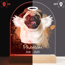Custom Photo Dog Cat Pet - Memorial Gift, Sympathy Gift - Personalized 3D Led Light Wooden Base