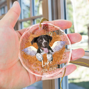 Custom Photo Memorial Dog Cat Pet Christmas - Personalized Circle Glass Ornament