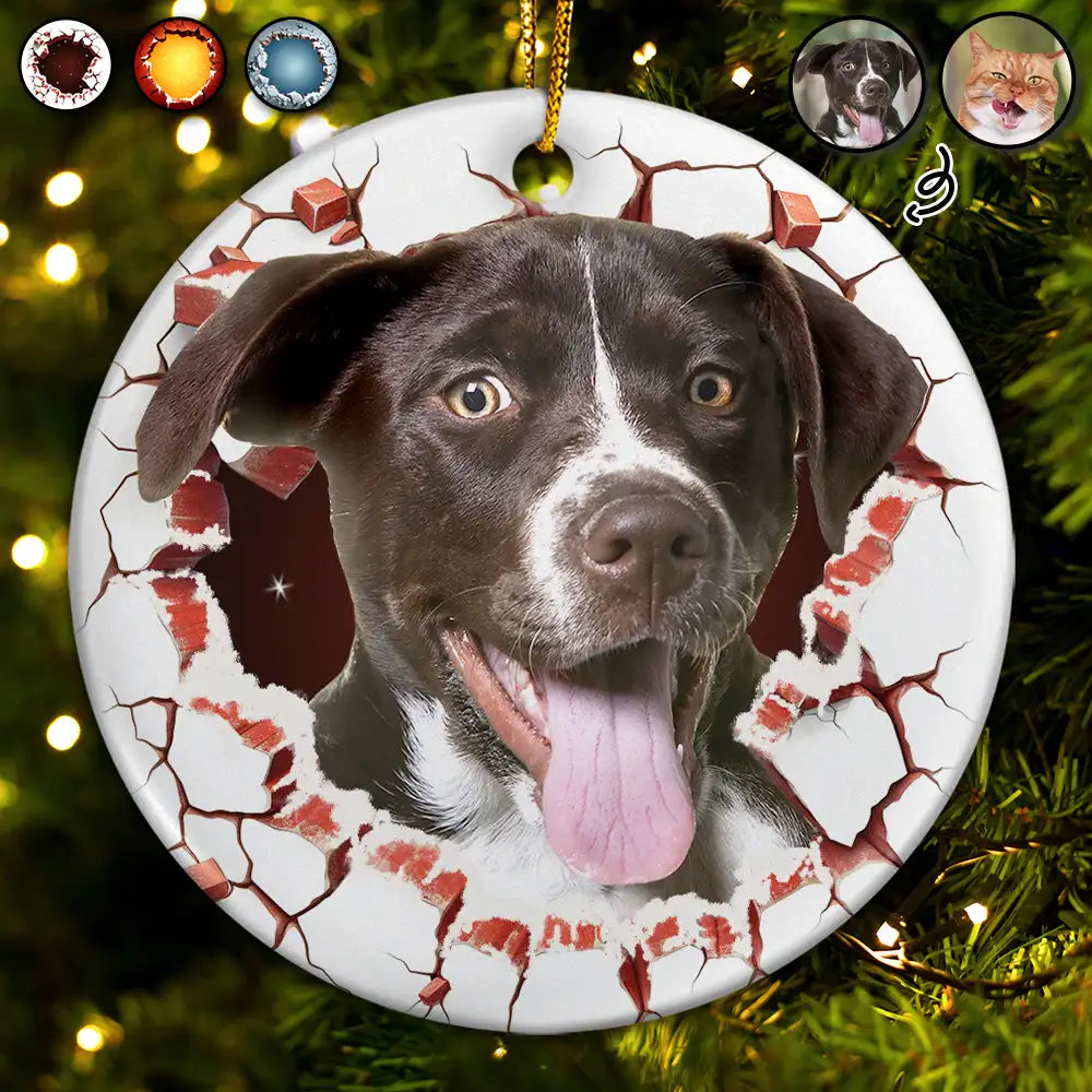 Custom Photo Dog Cat Breaking Through Ornament - Personalized Circle Ceramic Ornament