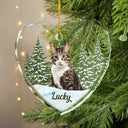 Pet, Cat, Dog - Custom Photo Pet Face Dog Cat Memorial - Personalized Heart Shaped Glass Ornament