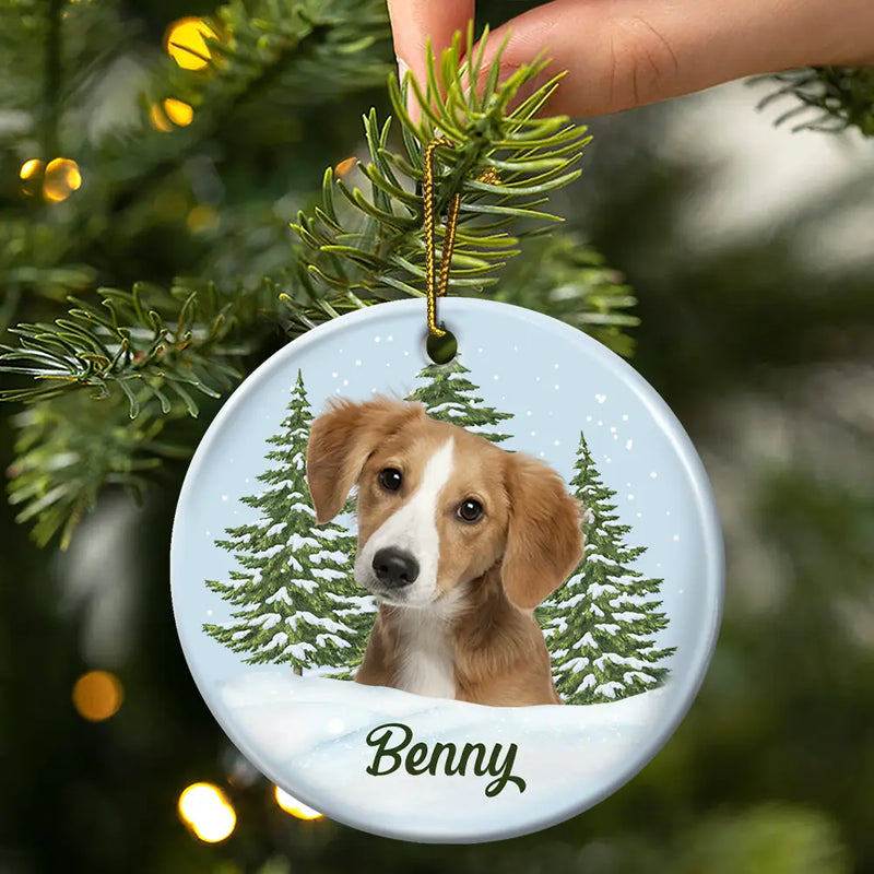 Memorial, Pet Lovers - Custom Photo Pet Face Memorial - Personalized Circle Ceramic Ornament