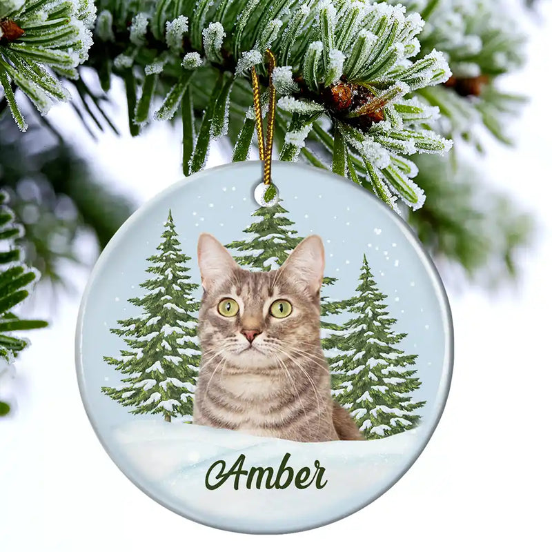 Memorial, Pet Lovers - Custom Photo Pet Face Memorial - Personalized Circle Ceramic Ornament