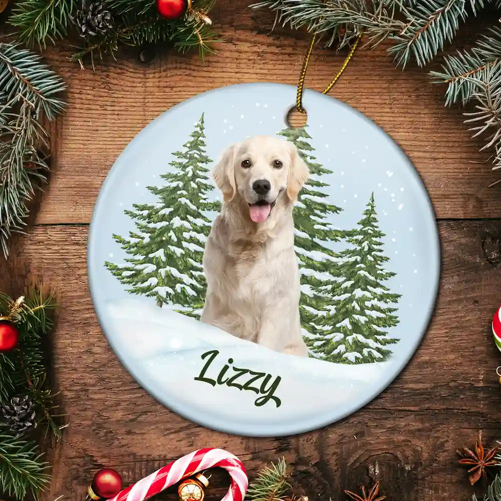Memorial, Pet Lovers - Custom Photo Pet Face Memorial - Personalized Circle Ceramic Ornament