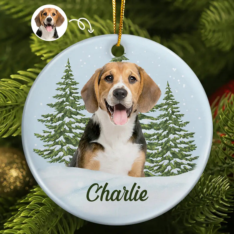 Memorial, Pet Lovers - Custom Photo Pet Face Memorial - Personalized Circle Ceramic Ornament