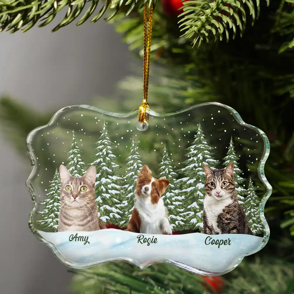 Memorial,Pet Lovers,Cat Lovers,Dog Lovers,Love,Continue Shopping - Custom Photo Pet Face Dog Cat Family - Personalized Medallion Glass Ornament