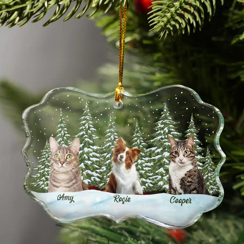 Memorial,Pet Lovers,Cat Lovers,Dog Lovers,Love,Continue Shopping - Custom Photo Pet Face Dog Cat Family - Personalized Medallion Glass Ornament