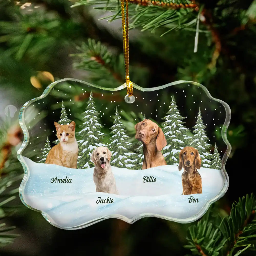 Memorial,Pet Lovers,Cat Lovers,Dog Lovers,Love,Continue Shopping - Custom Photo Pet Face Dog Cat Family - Personalized Medallion Glass Ornament