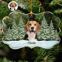 Memorial,Pet Lovers,Cat Lovers,Dog Lovers,Love,Continue Shopping - Custom Photo Pet Face Dog Cat Family - Personalized Medallion Glass Ornament