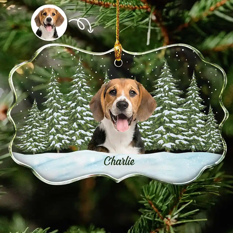 Memorial,Pet Lovers,Cat Lovers,Dog Lovers,Love,Continue Shopping - Custom Photo Pet Face Dog Cat Family - Personalized Medallion Glass Ornament