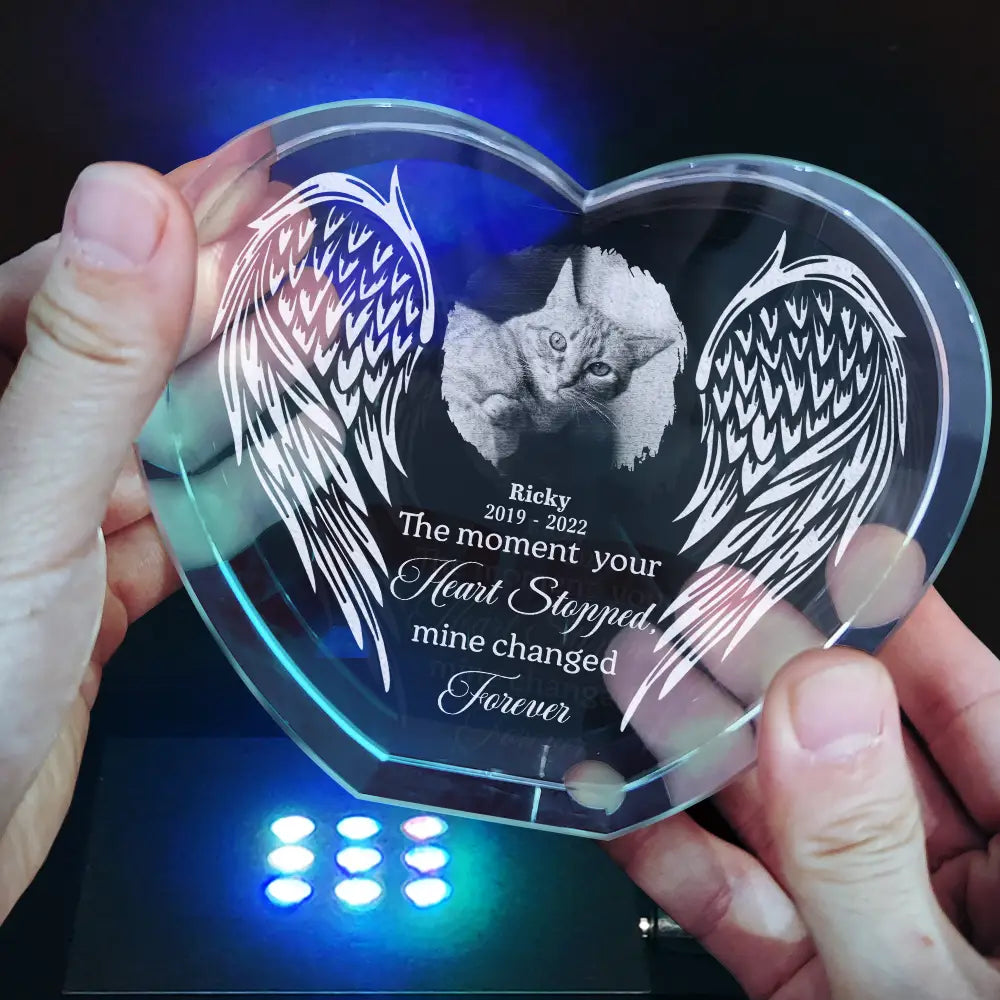 Memorial,Custom Photo,Sad,Pet Lovers - Custom Photo If Love Could Have Saved You - Personalized Crystal Heart