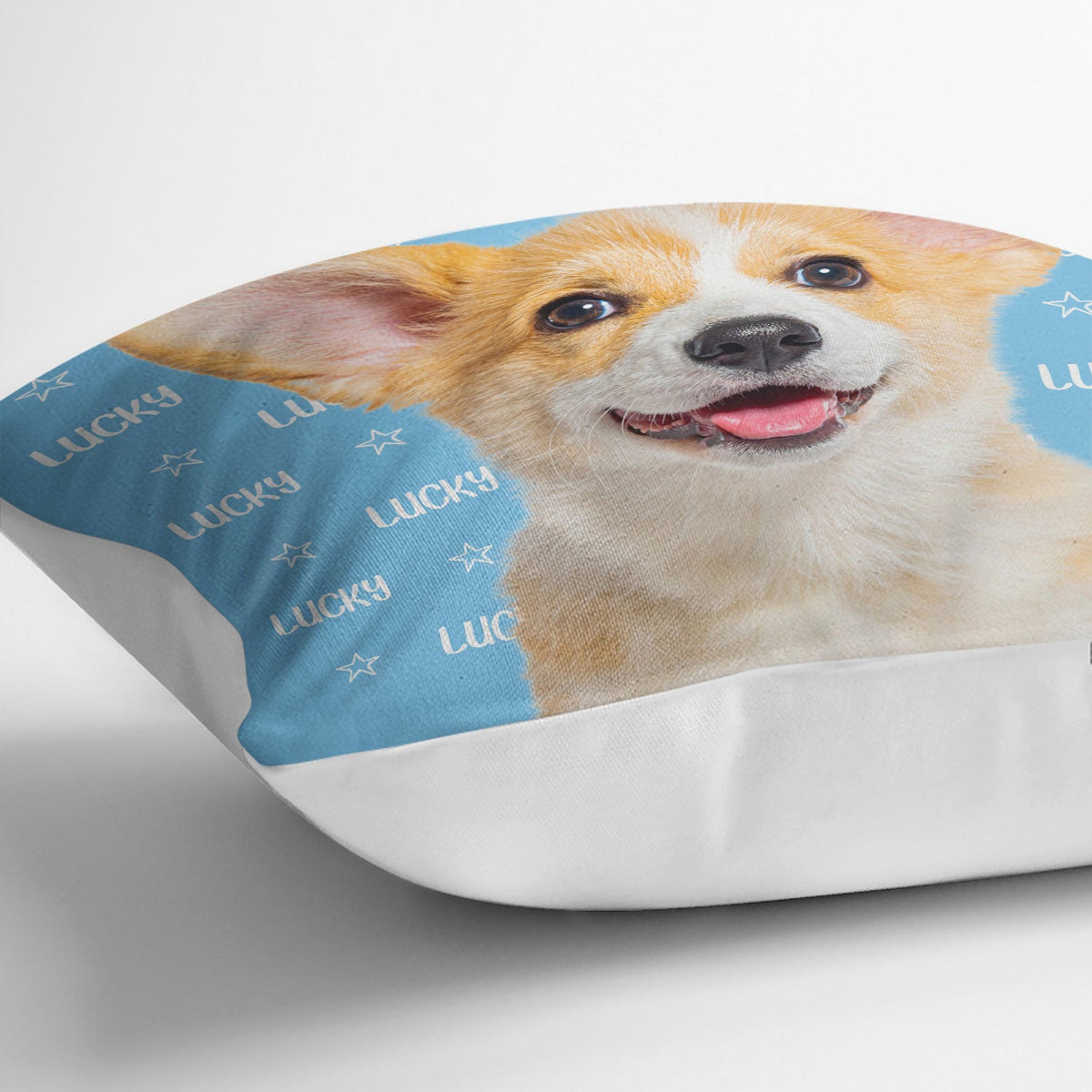 Custom Photo Human And Pet Name - Gift For Dog Lovers, Cat Lovers, Family - Personalized Pillow