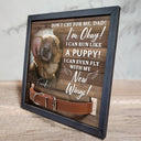 Custom Photo Don't Cry For Me I'm Okay - Personalized Pet Loss Sign, Collar Frame