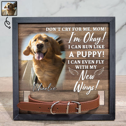 Photo personnalisée « Ne pleure pas pour moi, je vais bien » - Panneau personnalisé pour perte d'animal de compagnie, cadre pour collier