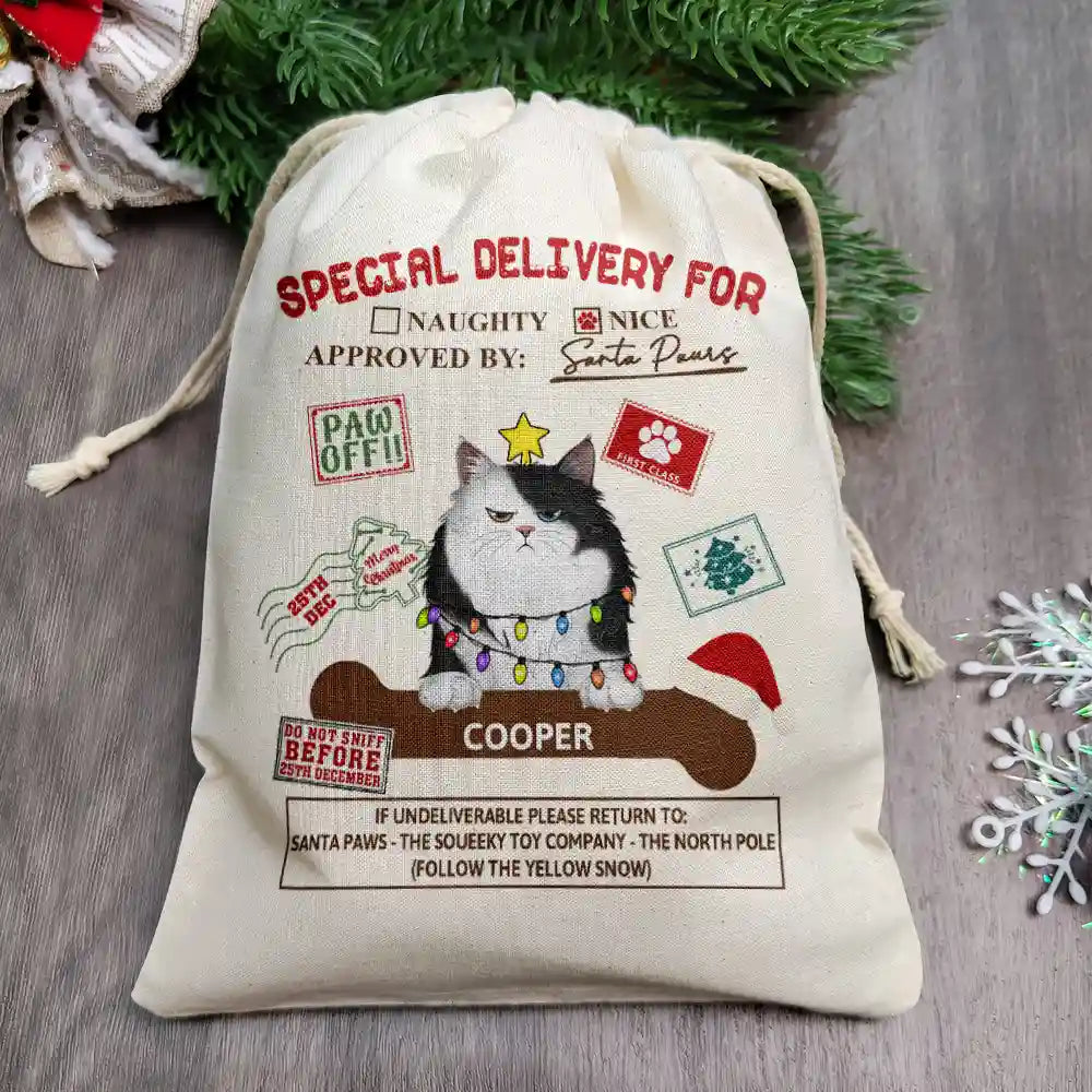 Special Delivery From Santa Paws - Personalized Favor Bag