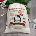 Special Delivery From Santa Paws - Personalized Favor Bag