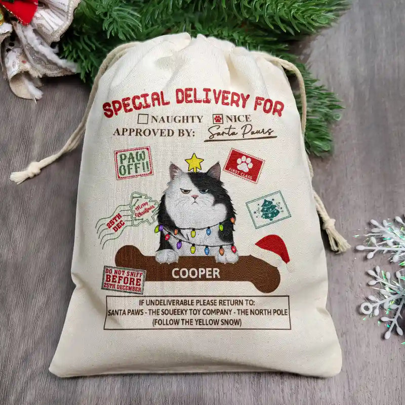 Special Delivery From Santa Paws - Personalized Favor Bag
