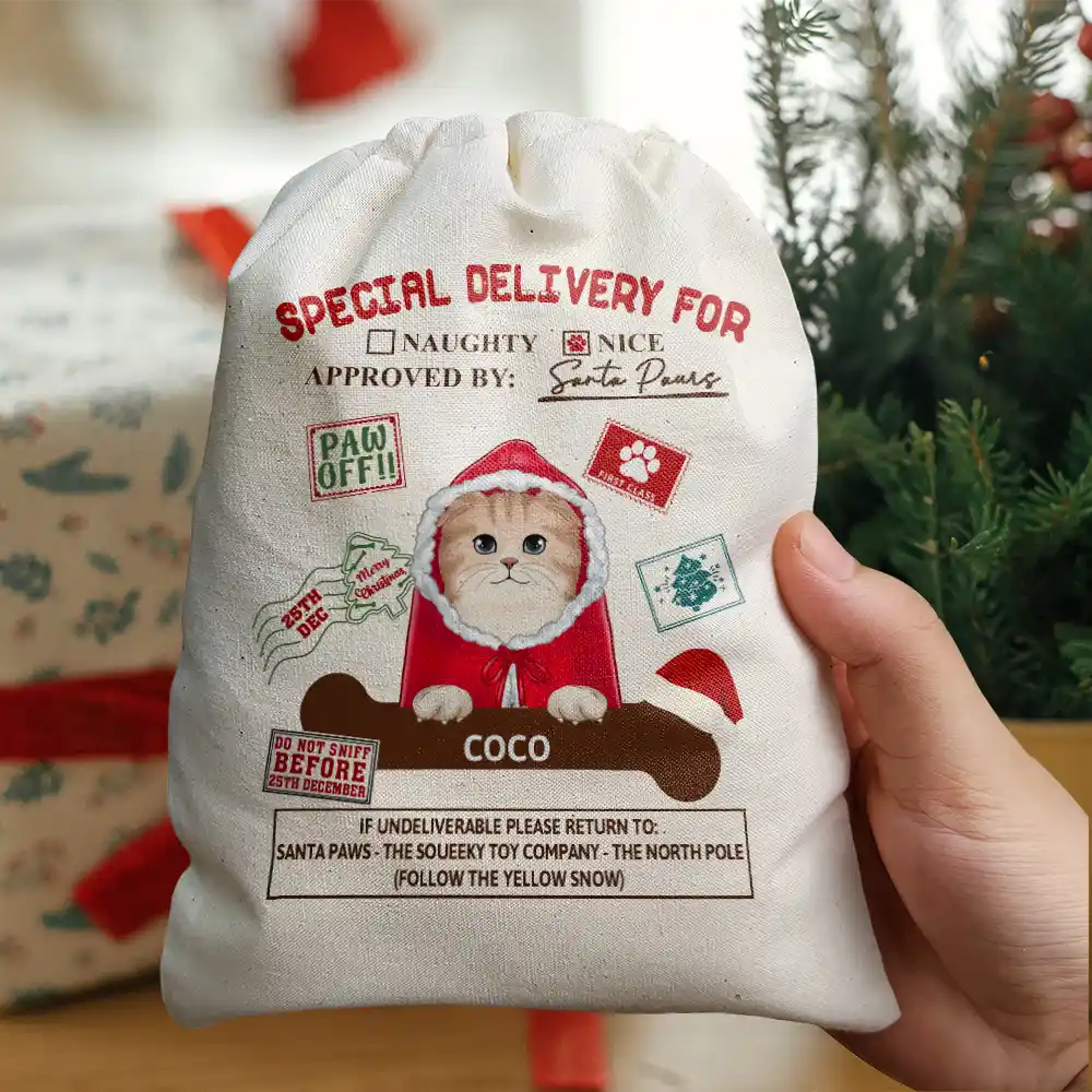 Special Delivery From Santa Paws - Personalized Favor Bag