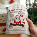 Special Delivery From Santa Paws - Personalized Favor Bag