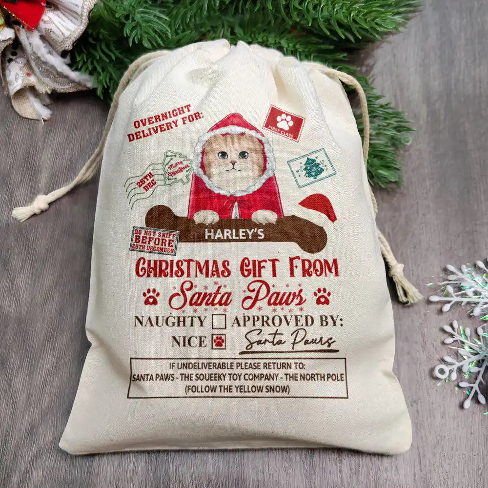 Christmas Gift From Santa Paws - Personalized Favor Bag