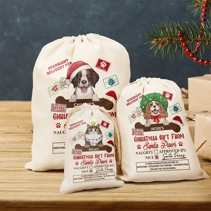 Christmas Gift From Santa Paws - Personalized Favor Bag