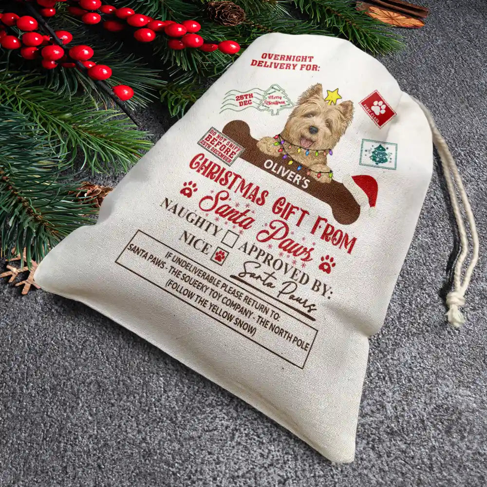 Christmas Gift From Santa Paws - Personalized Favor Bag