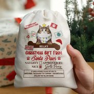 Cadeau de Noël du Père Noël : pochette personnalisée 