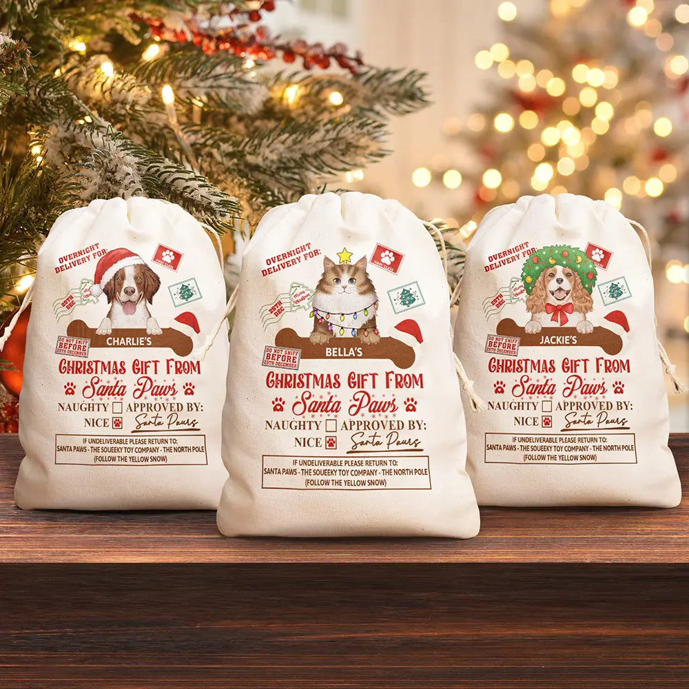 Cadeau de Noël du Père Noël : pochette personnalisée 