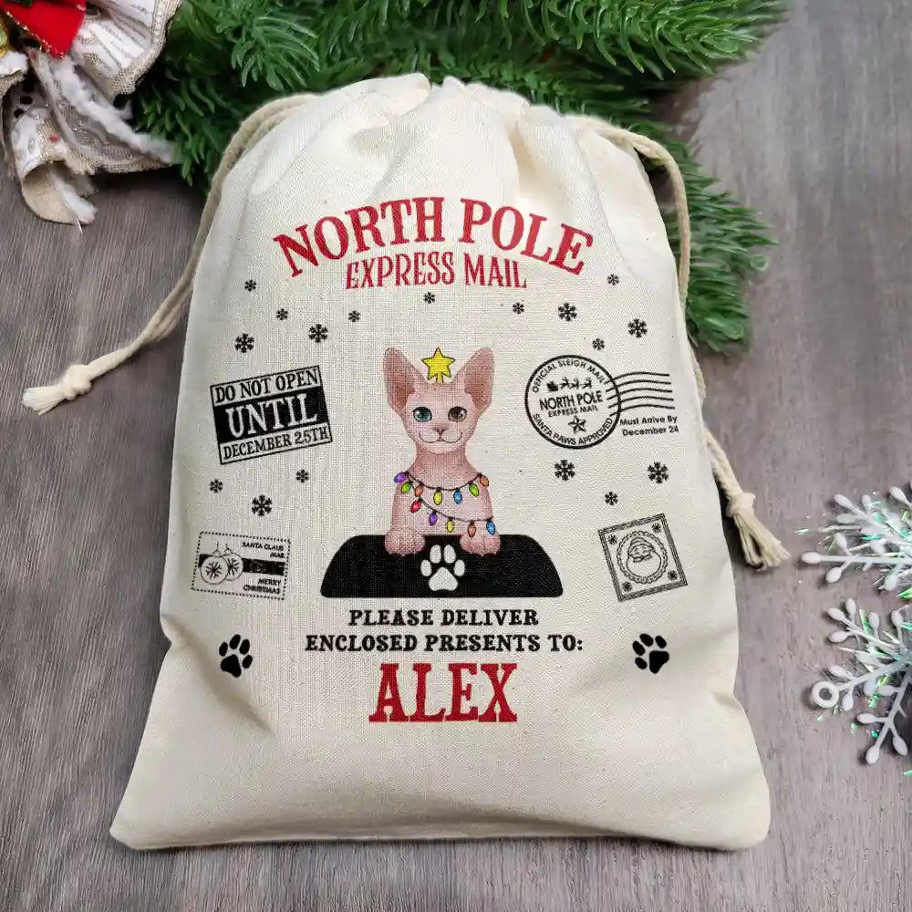 North Pole Santa Paws Sack Funny Pet - Personalized Favor Bag