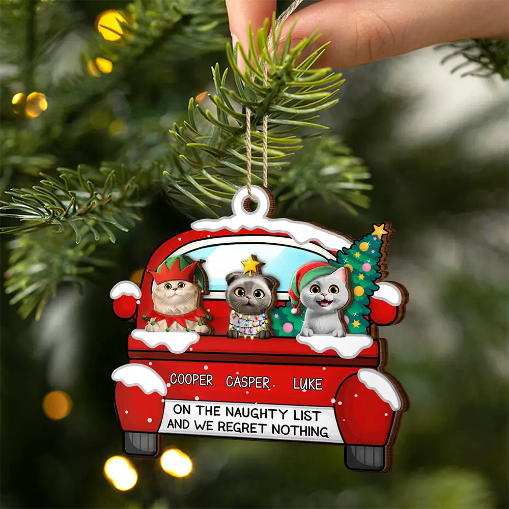 Cat Lovers,Cat Mom,Cat Dad,Funny,Christmas - On The Naughty List - Personalized 2-Layered Wooden Ornament