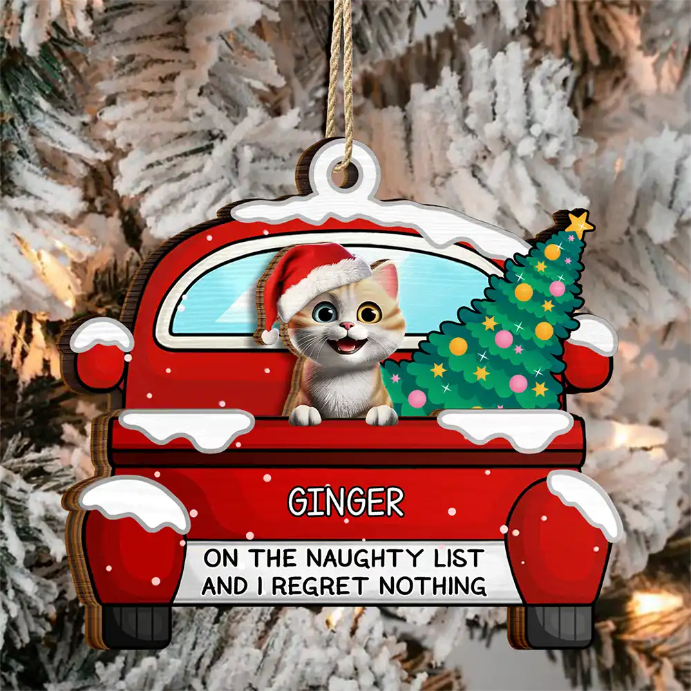 Cat Lovers,Cat Mom,Cat Dad,Funny,Christmas - On The Naughty List - Personalized 2-Layered Wooden Ornament