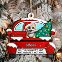 Cat Lovers,Cat Mom,Cat Dad,Funny,Christmas - On The Naughty List - Personalized 2-Layered Wooden Ornament