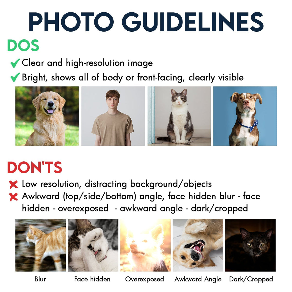 Custom Photo Dog Cat Service Human Do Not Pet - Gift For Dog Lovers And Cat Lovers - Personalized Custom T Shirt